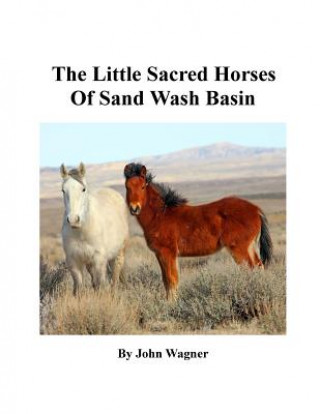 Knjiga Little Sacred Horses of Sand Wash Basin John A Wagner