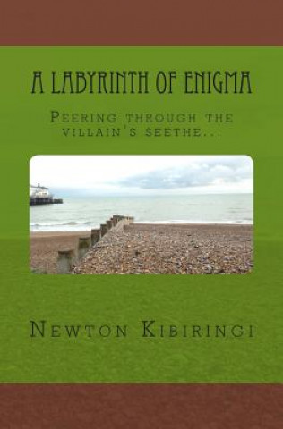 Carte A Labyrinth of Enigma!: Peering through the villain's seethe. MR Newton Gatambia Kibiringi