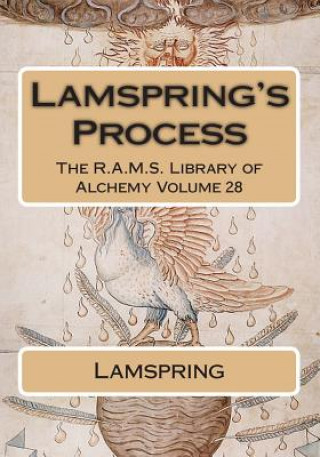 Knjiga Lamspring's Process Lamspring