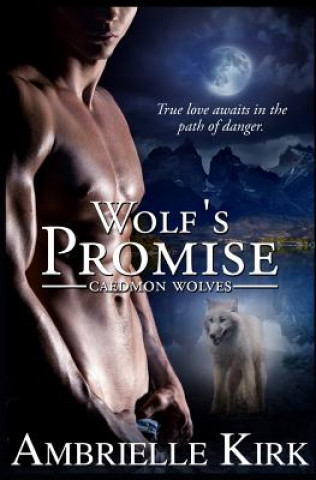 Libro Wolf's Promise Ambrielle Kirk