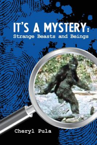 Carte It's A Mystery, Volume 4: Strange Beasts and Beings Cheryl Pula
