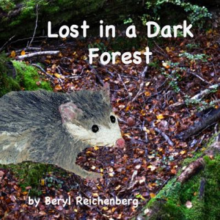 Kniha Lost in a Dark Forest Beryl Reichenberg