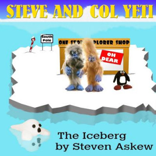 Boek The Iceberg Steven Askew