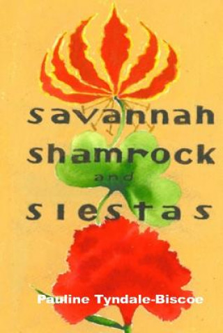 Kniha Savannah, Shamrock and Siestas: A true life-changing story MR Dan O'Sullivan