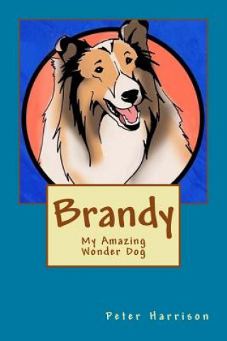 Kniha Brandy - My Amazing Wonder Dog Peter Harrison