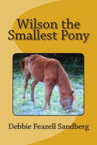 Kniha Wilson the Smallest Pony MS Debbie Feazell Sandberg