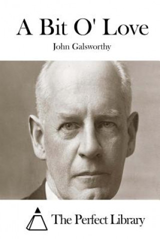 Kniha A Bit O' Love John Galsworthy