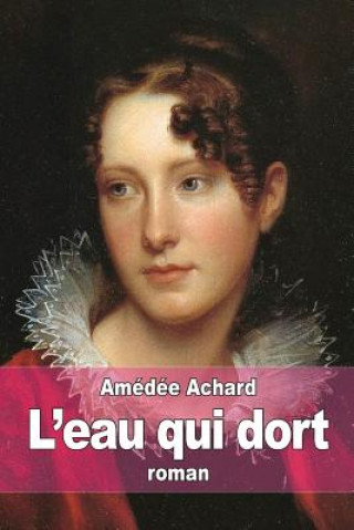 Könyv L'Eau-qui-dort Amedee Achard