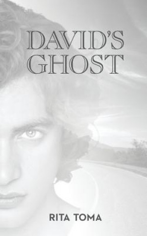 Boek David's Ghost Rita Toma