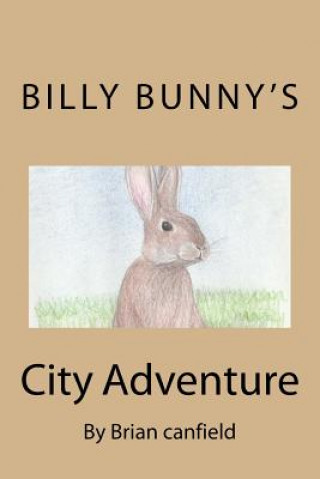 Könyv Billy Bunny's City Adventure MR Brian S Canfield