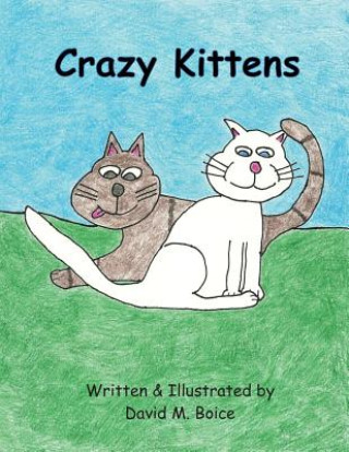Книга Crazy Kittens David M Boice
