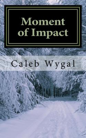 Kniha Moment of Impact Caleb Wygal