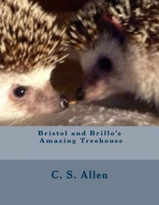 Kniha Bristol and Brillo's Amazing Treehouse: The Hedgehog Sisters C S Allen