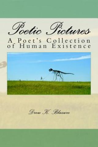 Książka Poetic Pictures: A Poet's Collection of Human Existence Drew K Blazure