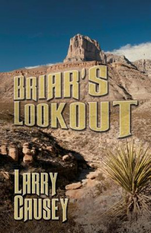 Książka Briar's Lookout Larry Causey