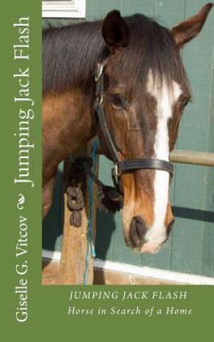 Boek Jumping Jack Flash Giselle Vitcov