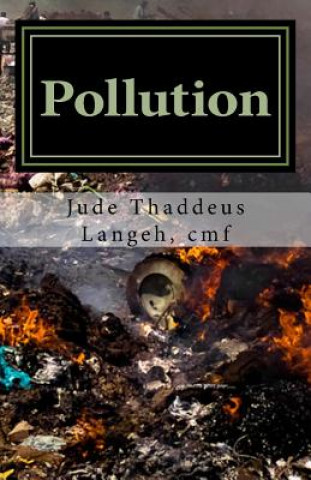Книга Pollution: Une menace fulgurante dans notre environnnement. La réponse de l'Eglise P Jude Thaddeus Langeh Cmf