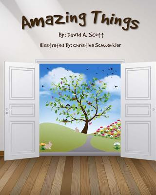 Knjiga Amazing Things David A Scott