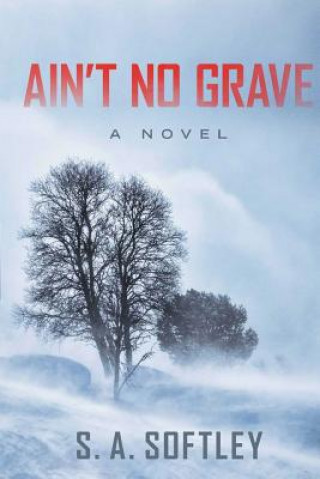 Libro Ain't No Grave S a Softley