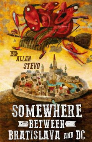 Buch Somewhere Between Bratislava and DC Allan J Stevo