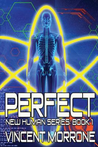 Book Perfect Vincent Morrone