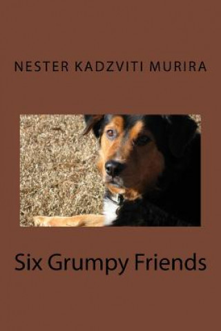 Livre Six Grumpy Friends Nester Kadzviti Murira