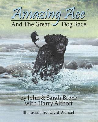 Книга Amazing Ace John Brock