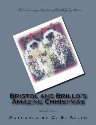 Knjiga Bristol and Brillo's Amazing Christmas: The Hedgehog Sisters C S Allen