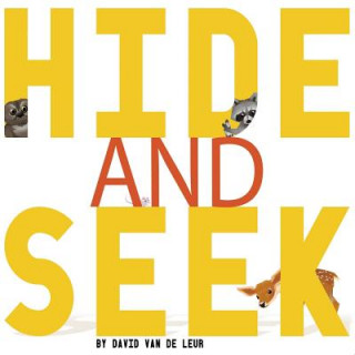 Kniha Hide And Seek David Van De Leur