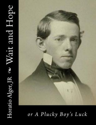 Carte Wait and Hope: or A Plucky Boy's Luck Jr Horatio Alger