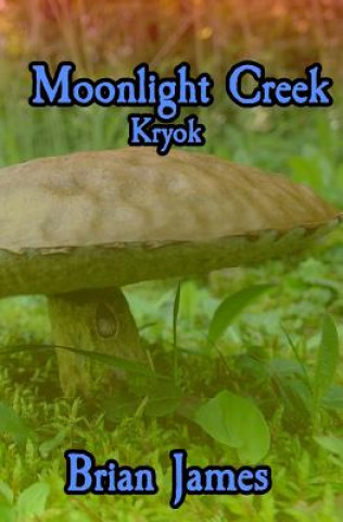 Kniha Moonlight Creek Kryok Brian James