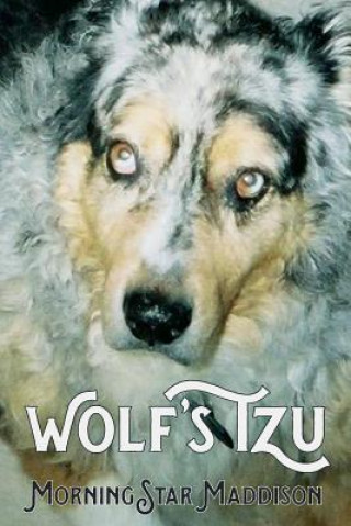 Livre Wolf's Tzu Morningstar Maddison