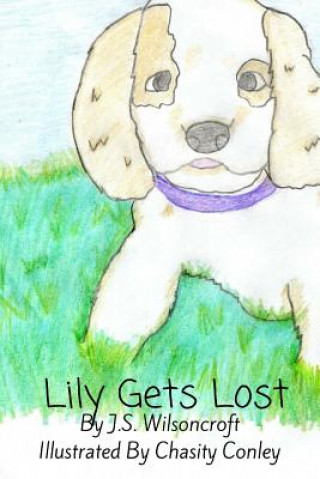 Book Lily Gets Lost J S Wilsoncroft