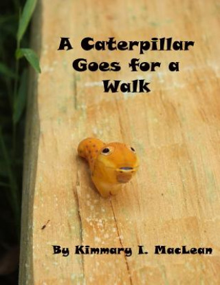 Kniha A Caterpillar Goes for A Walk Kimmary I MacLean