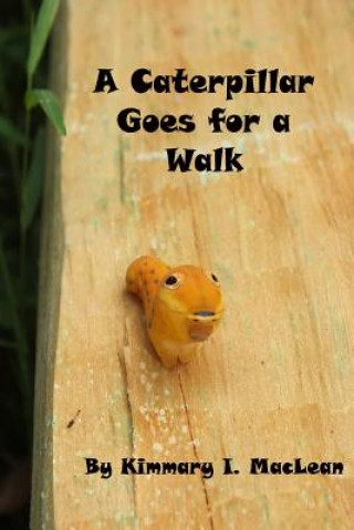 Kniha A Caterpillar Goes for A Walk Kimmary I MacLean