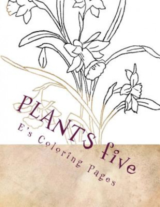 Kniha PLANTS five E's Coloring Pages