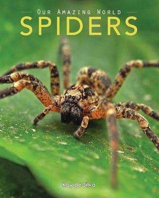 Buch Spiders: Amazing Pictures & Fun Facts on Animals in Nature Kay De Silva