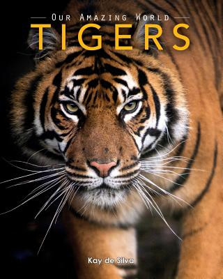 Kniha Tigers: Amazing Pictures & Fun Facts on Animals in Nature Kay De Silva