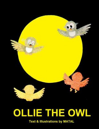 Kniha Ollie the Owl: An Illustrated Bedtime Story for Kids about a Little Owl's Night and Day Adventure Matal