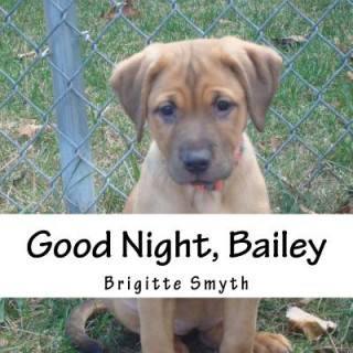 Knjiga Good Night, Bailey Brigitte Smyth
