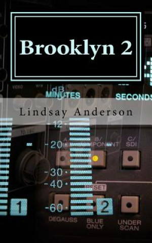 Knjiga Brooklyn 2 Lindsay Anderson