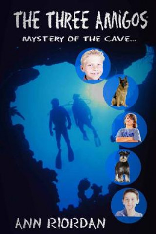Boek The Three Amigos Ann Riordan
