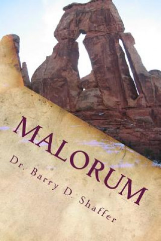 Knjiga Malorum: The Chronicles of Aitherios: Book Two Dr Barry D Shaffer