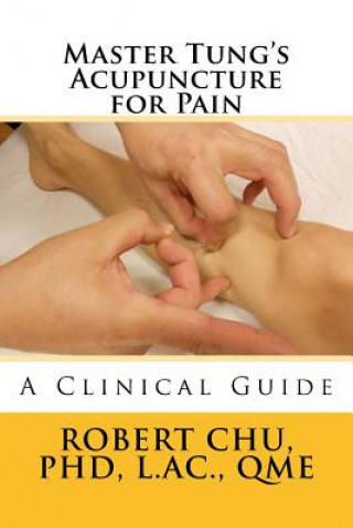 Kniha Master Tung's Acupuncture for Pain: A Clinical Guide L Robert Chu Phd