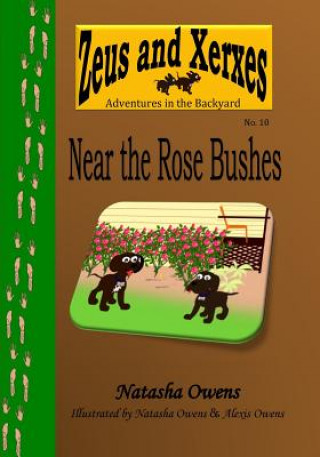 Kniha Near the Rose Bushes Natasha Owens