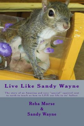 Carte Live Like Sandy Wayne: The story of an Amazing and very "special" squirrel sent to earth to teach us how to LIVE our life to its' fullest Reba Jo Morse