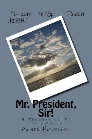 Buch Mr. President, Sir!: -A Tribute to My Son, Emile Agnes Houessou