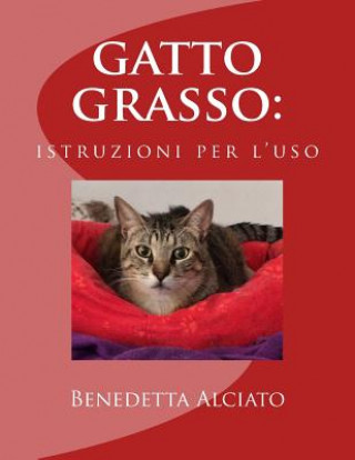 Carte gatto grasso: istruzioni per l'uso Benedetta Alciato