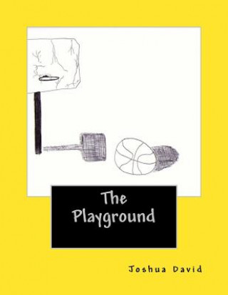 Kniha The Playground: The stories of A & B Joshua David