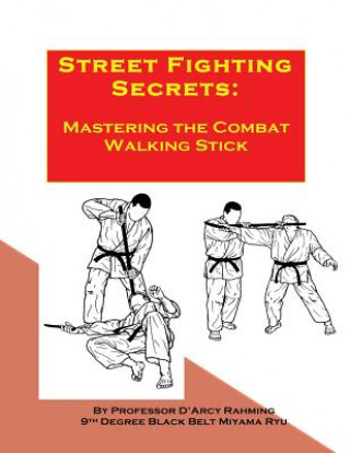 Kniha Street Fighting Secrets: Mastering the Combat Walking Stick D'Arcy Rahmig
